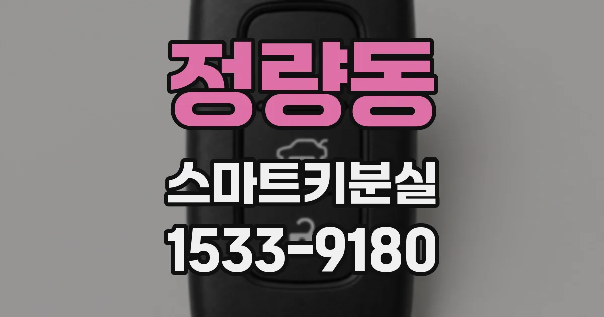정량동 스마트키분실