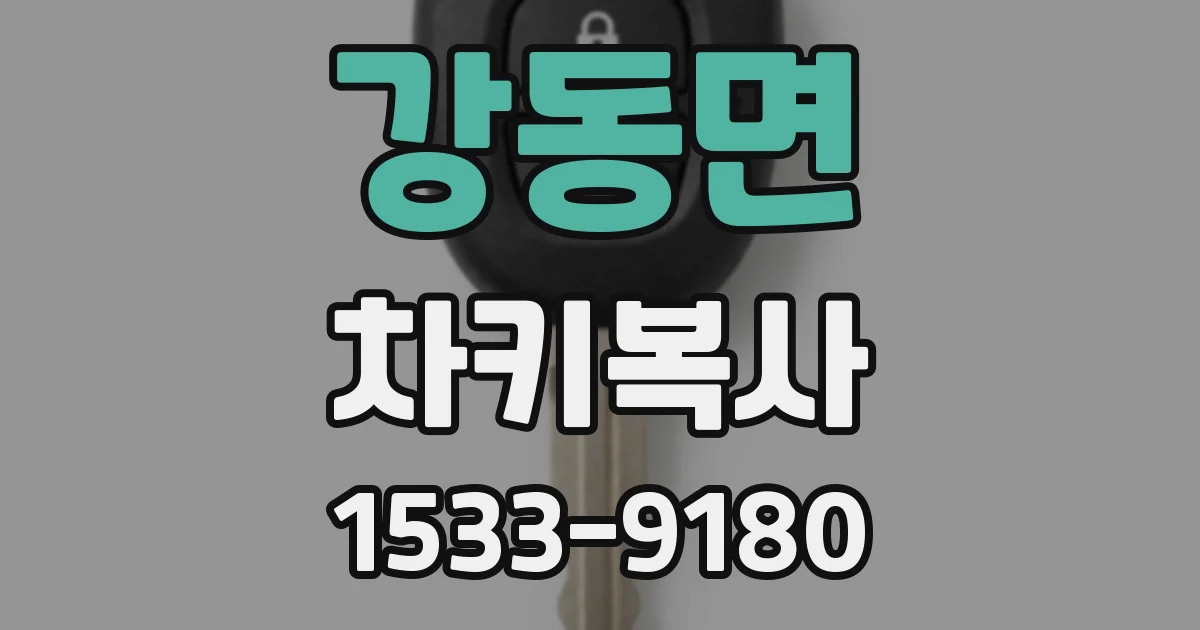 강동면 차키복사