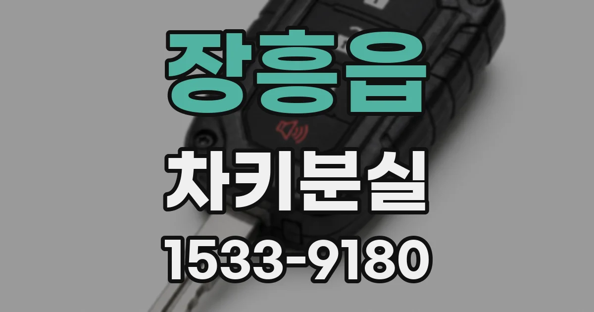 장흥읍 차키분실