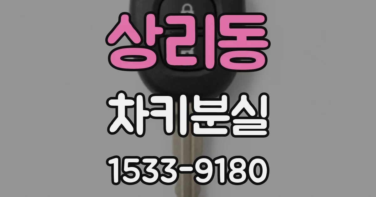 상리동 차키분실