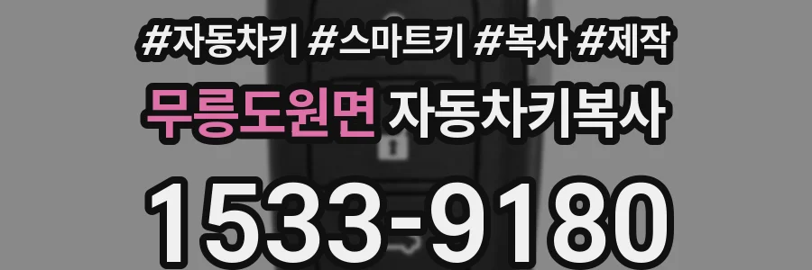 무릉도원면 자동차키복사