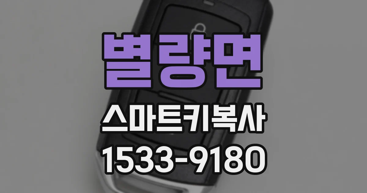별량면 스마트키복사
