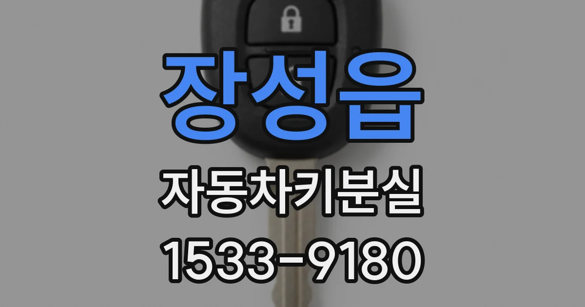 장성읍 자동차키분실