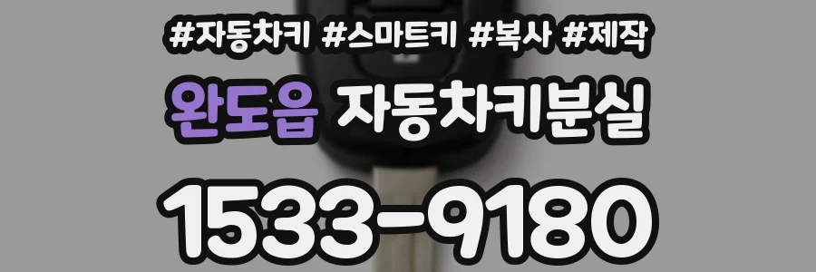 완도읍 자동차키분실