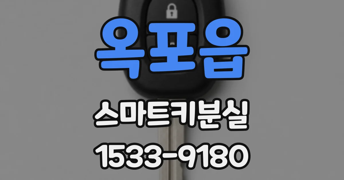 옥포읍 스마트키분실