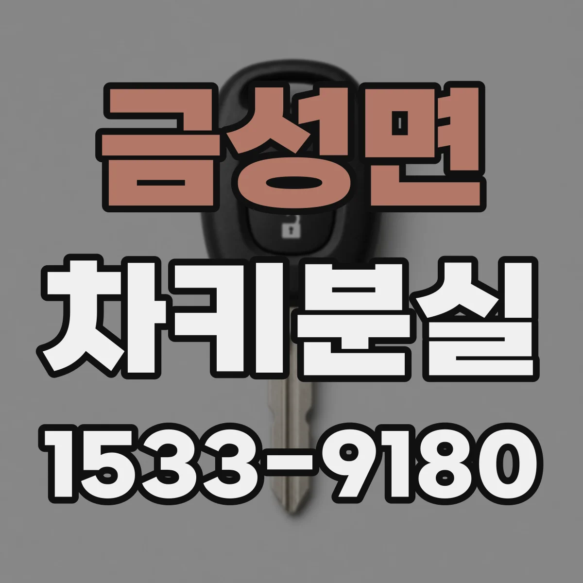 금성면 차키분실