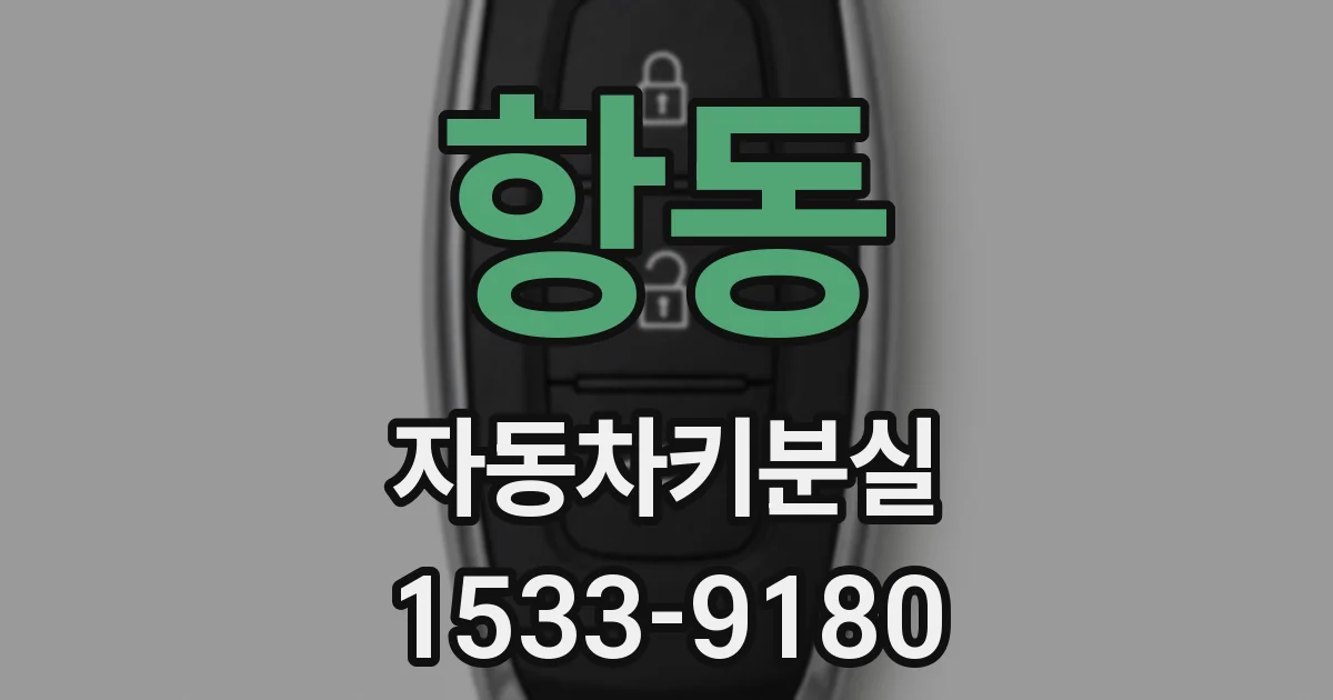 항동 자동차키분실