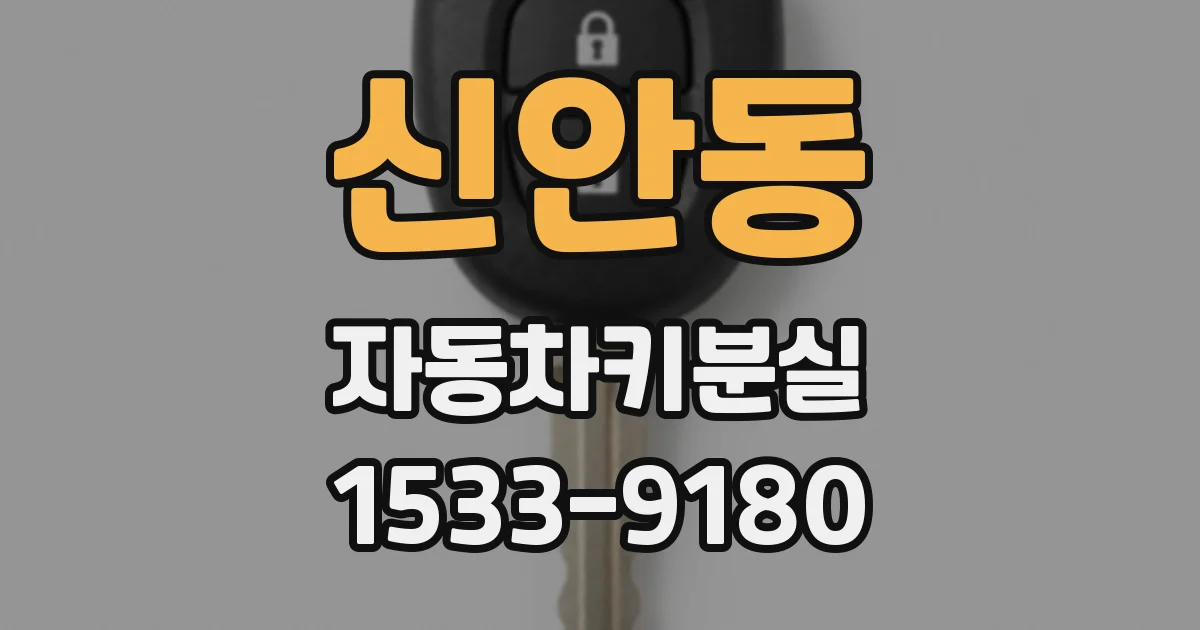 신안동 자동차키분실