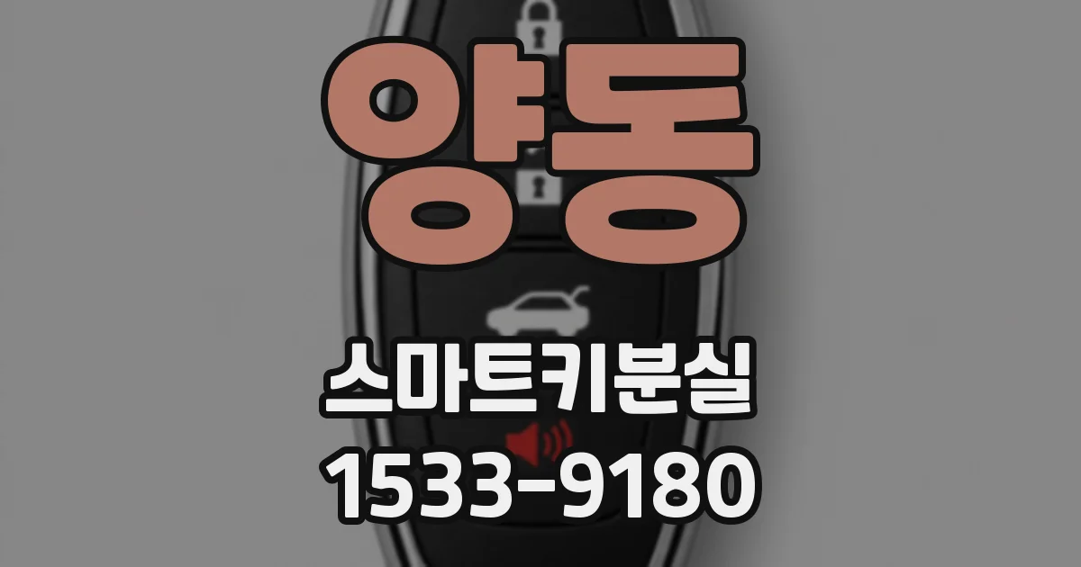 양동 스마트키분실