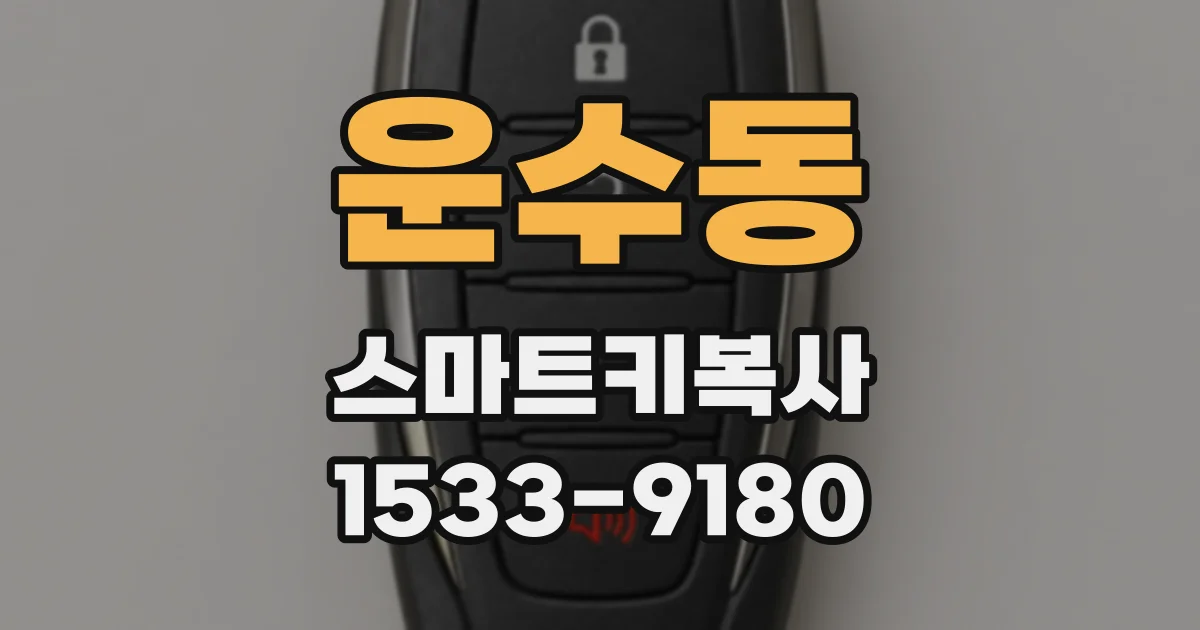 운수동 스마트키복사