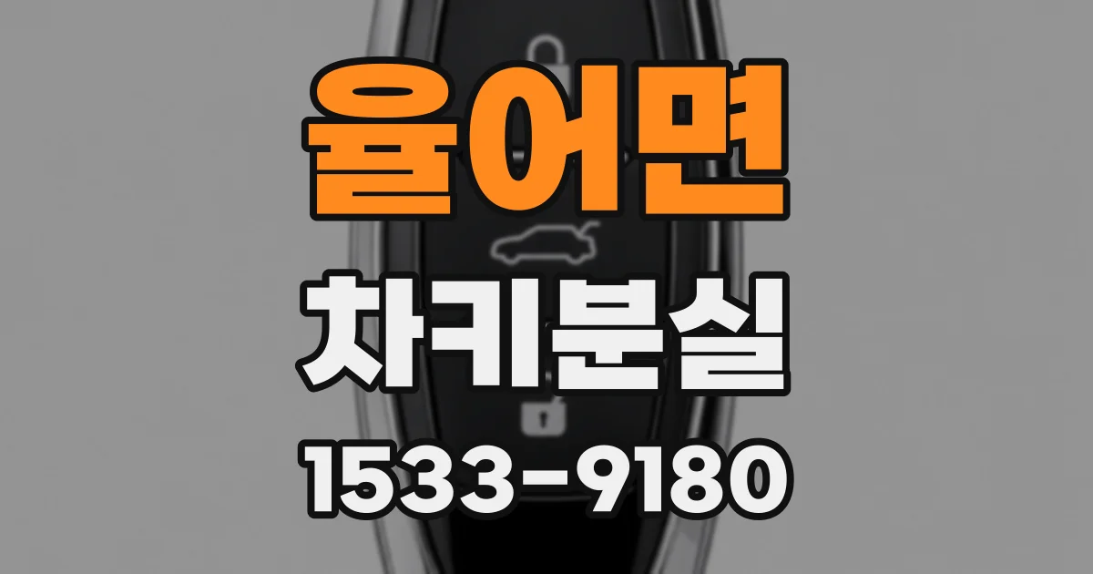 율어면 차키분실