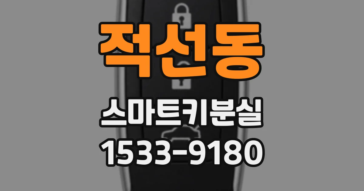 적선동 스마트키분실
