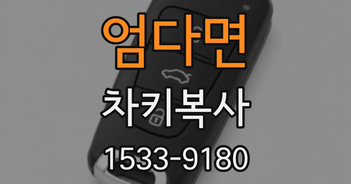 엄다면 차키복사