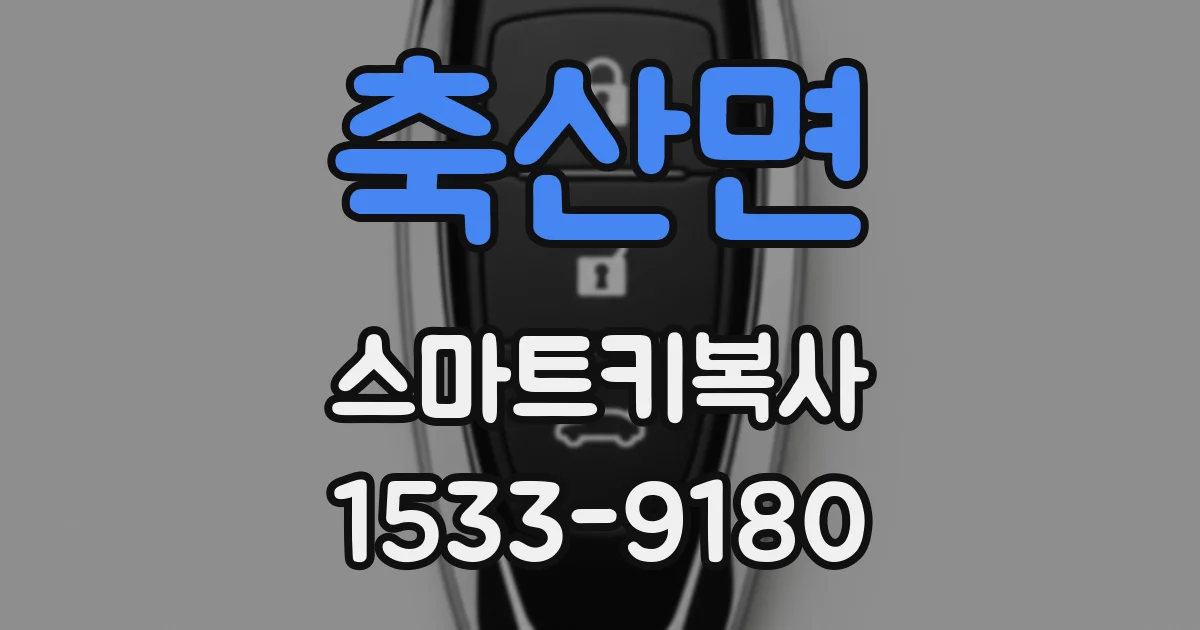 축산면 스마트키복사