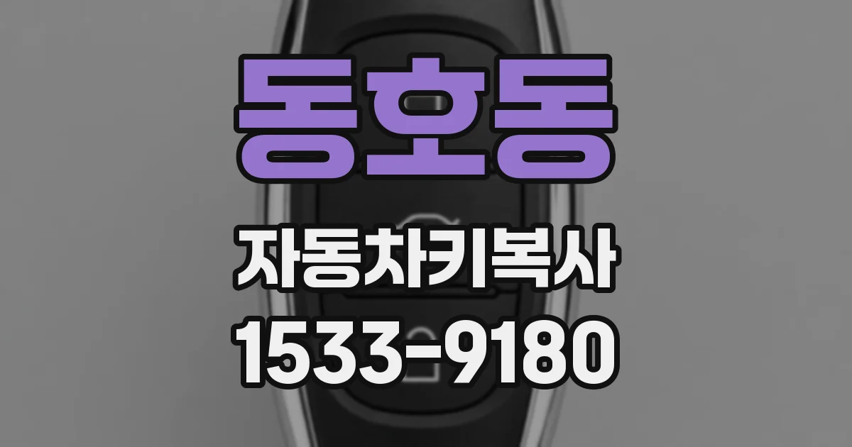 동호동 자동차키복사