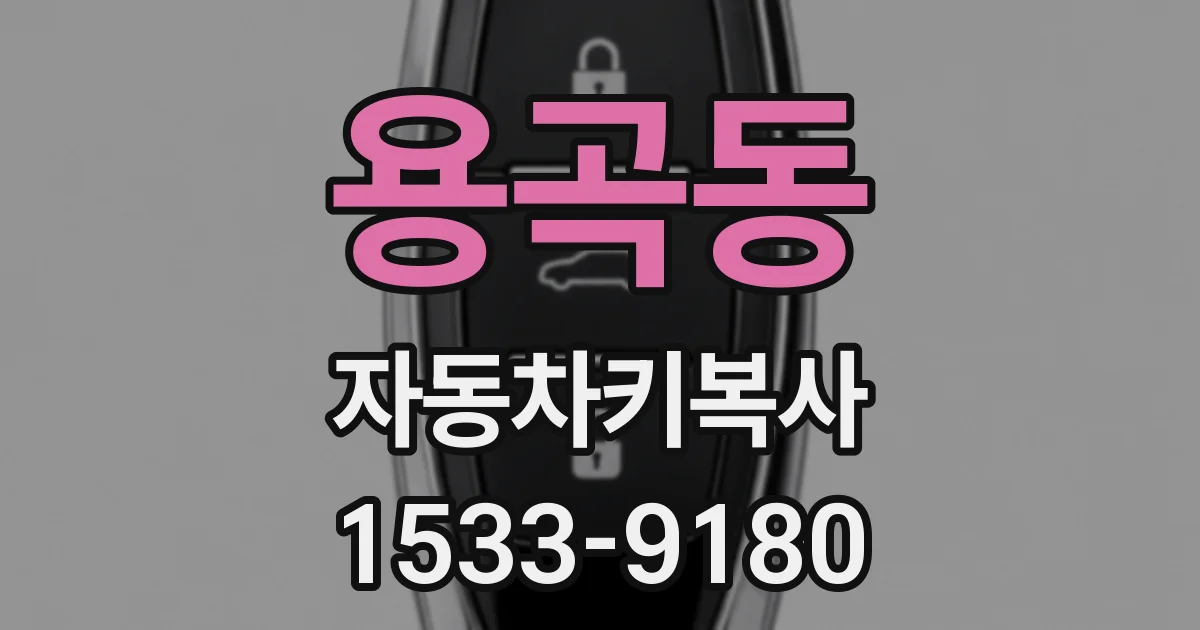 용곡동 자동차키복사