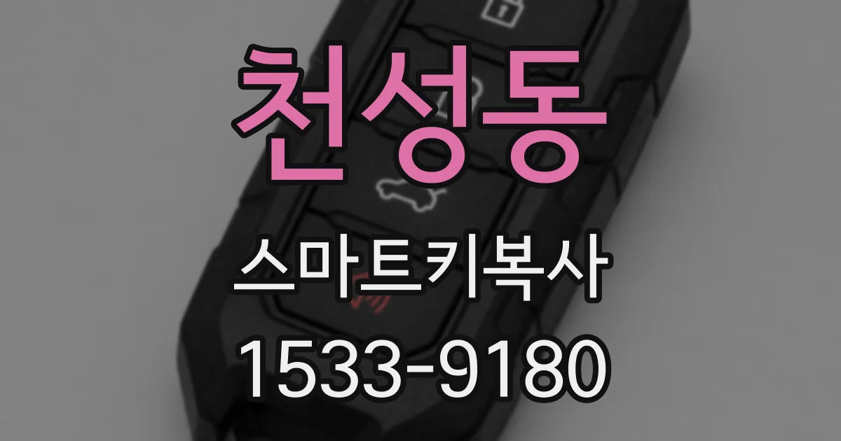 천성동 스마트키복사