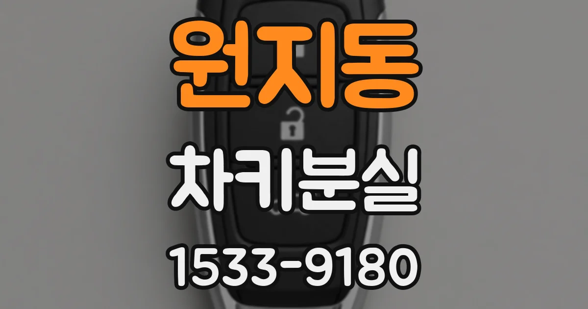 원지동 차키분실