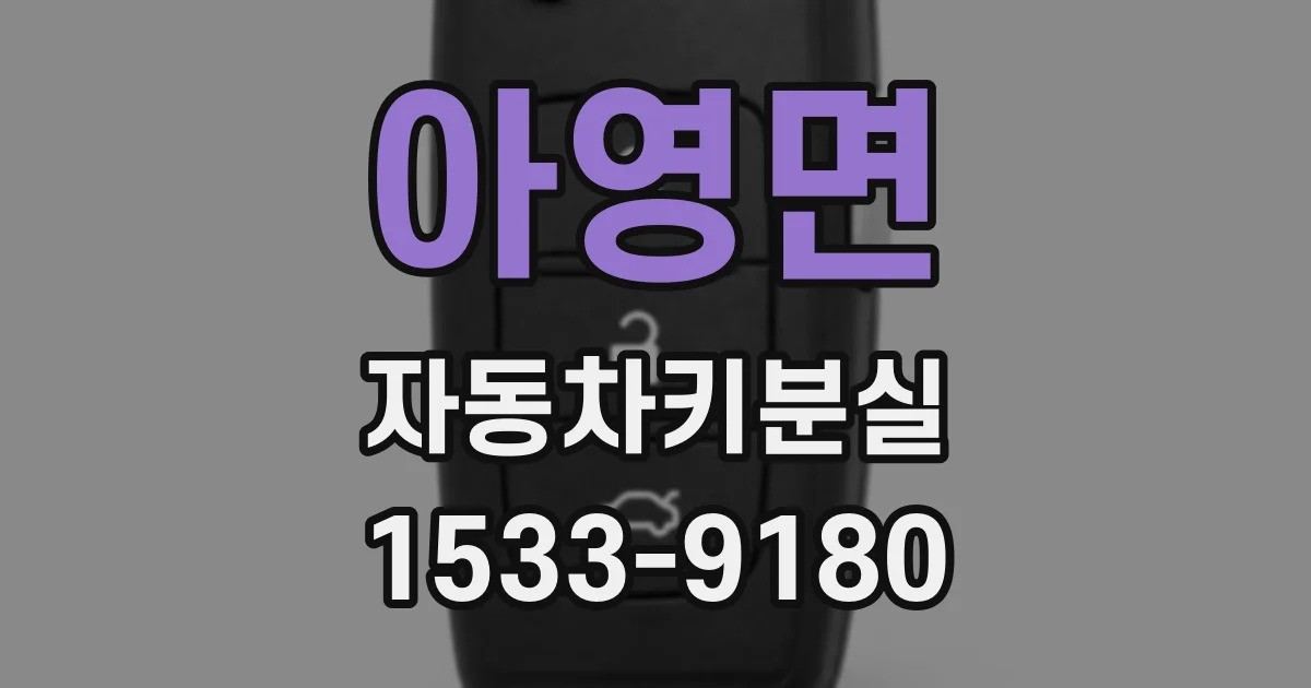 아영면 자동차키분실