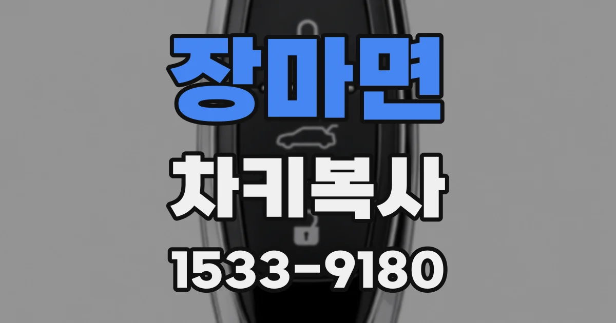 장마면 차키복사