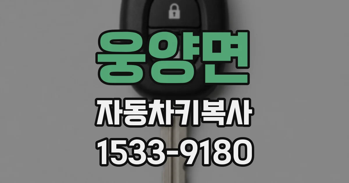 웅양면 자동차키복사