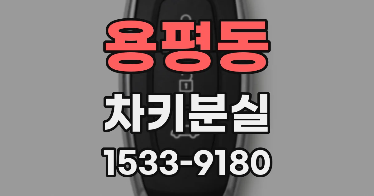 용평동 차키분실