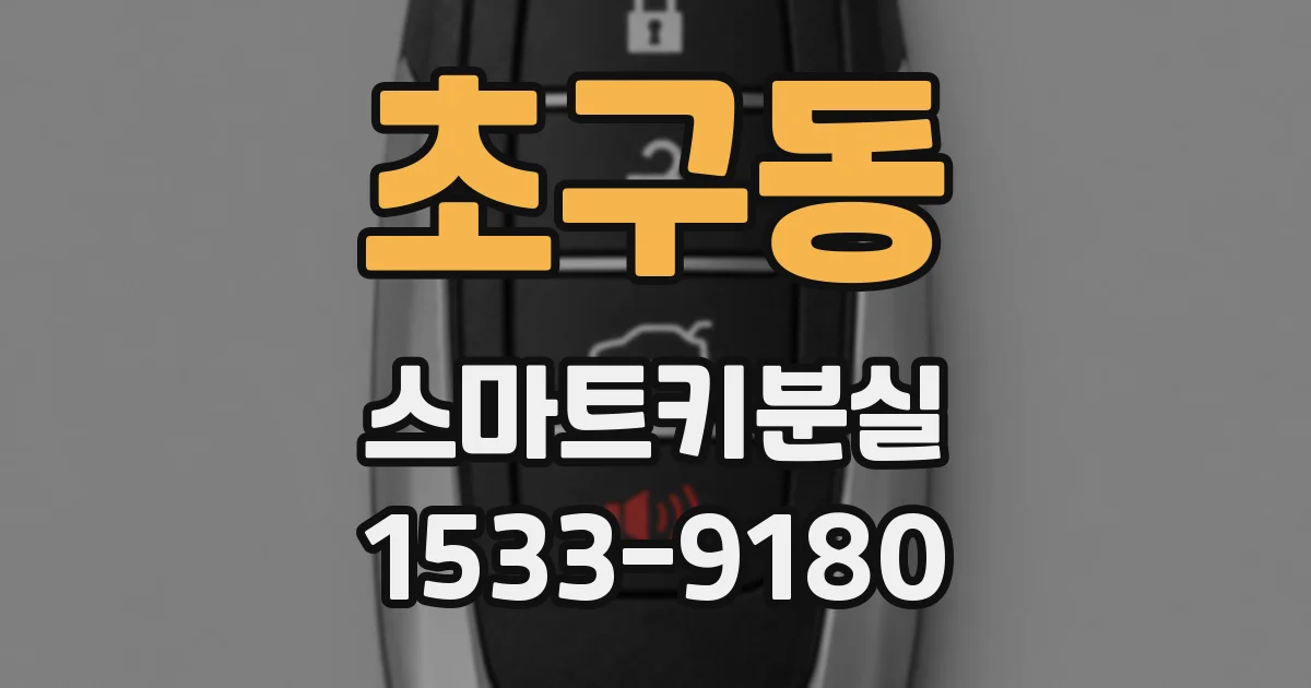 초구동 스마트키분실