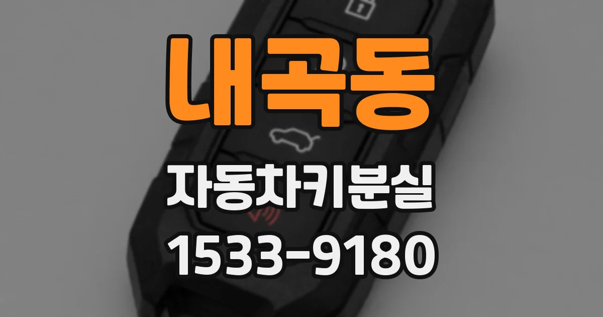 내곡동 자동차키분실