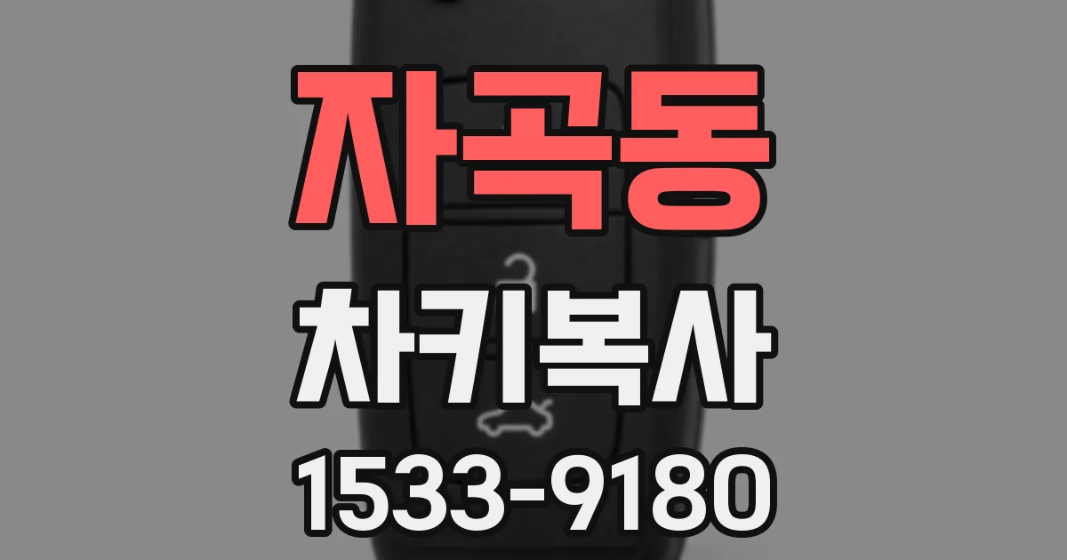 자곡동 차키복사