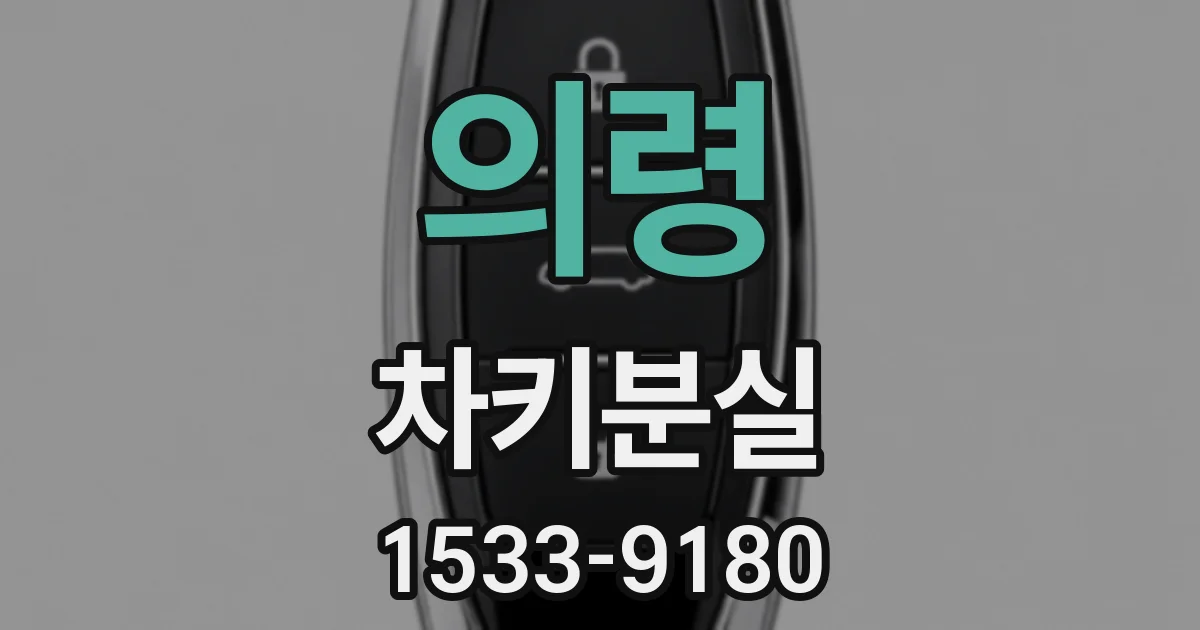 의령 차키분실