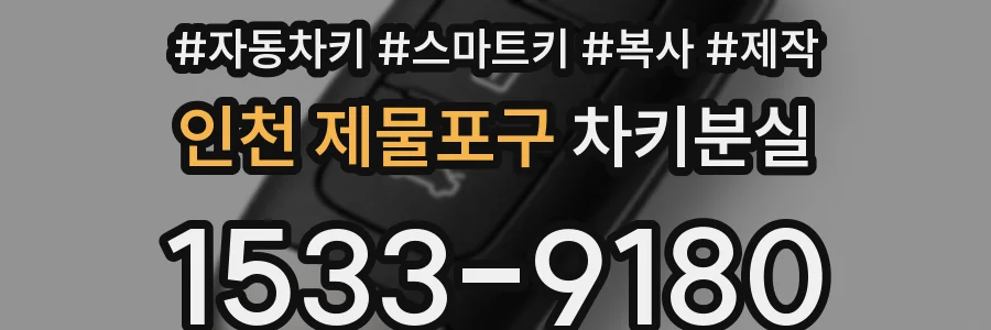 인천 제물포구 차키분실