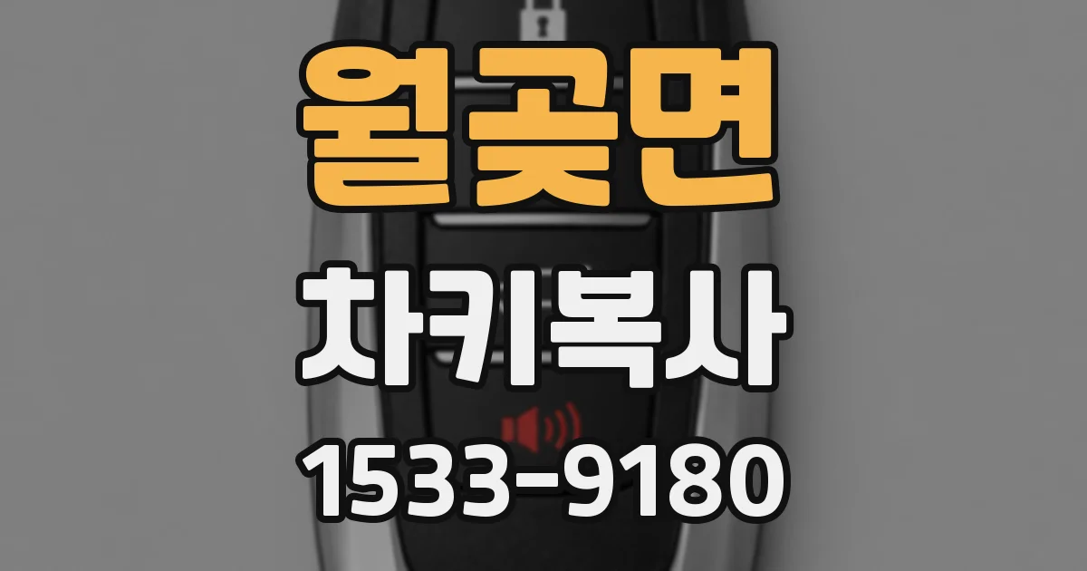 월곶면 차키복사