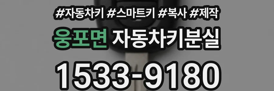 웅포면 자동차키분실