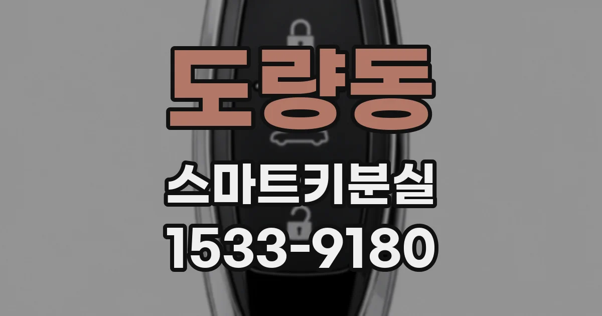 도량동 스마트키분실