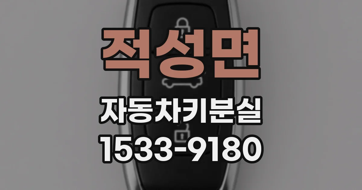 적성면 자동차키분실