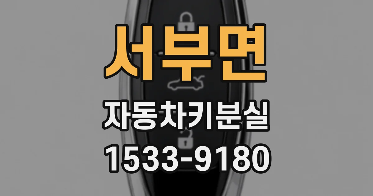 서부면 자동차키분실
