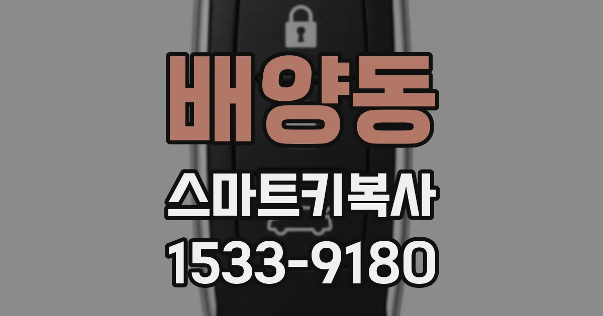 배양동 스마트키복사