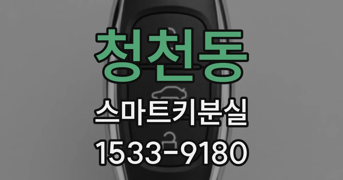 청천동 스마트키분실