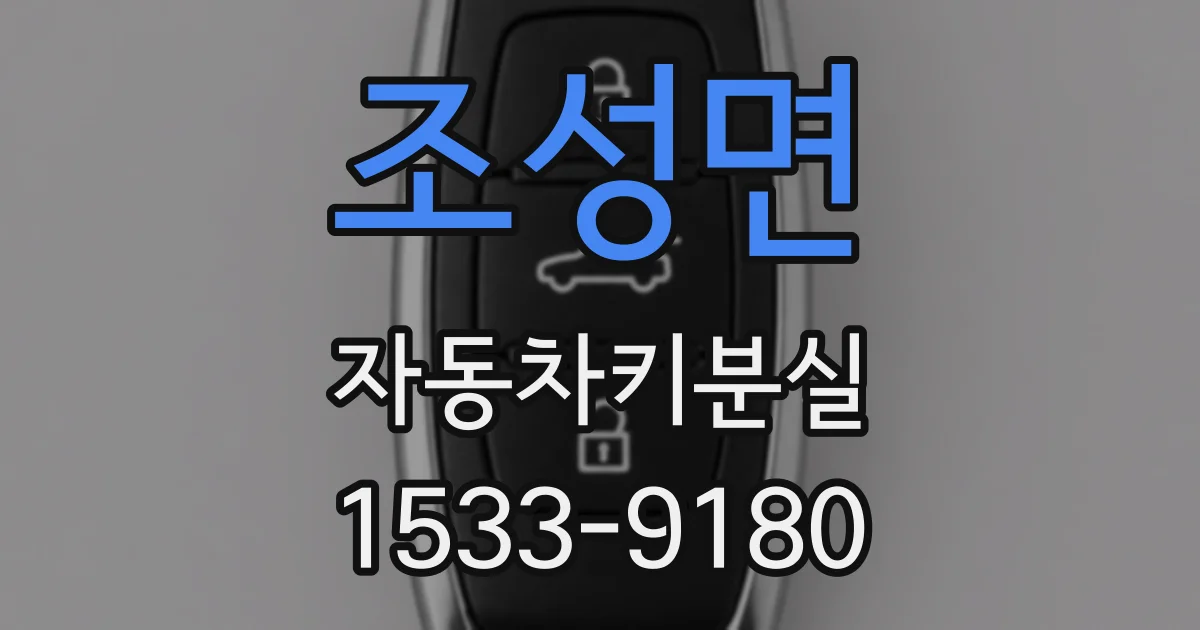 조성면 자동차키분실