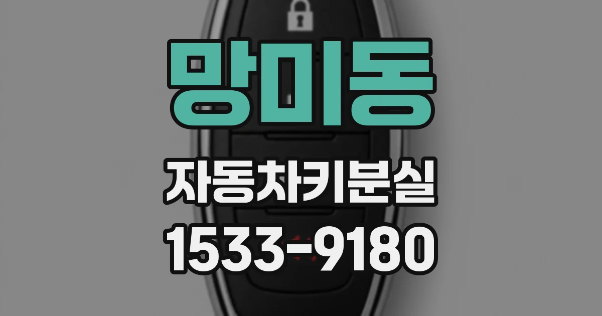 망미동 자동차키분실