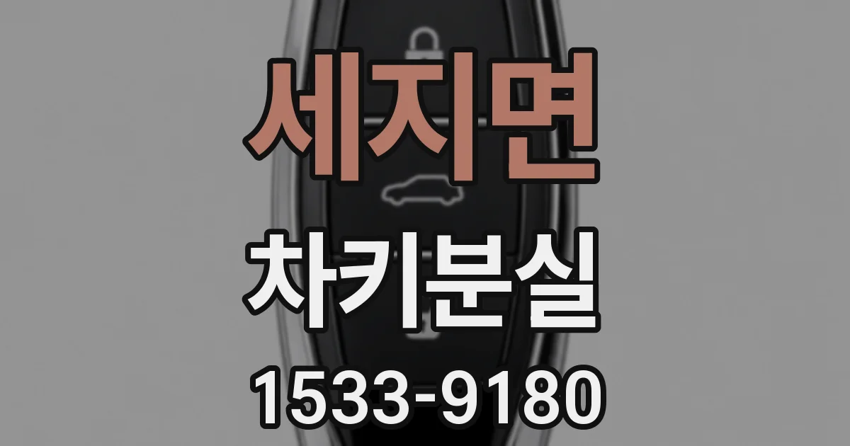 세지면 차키분실