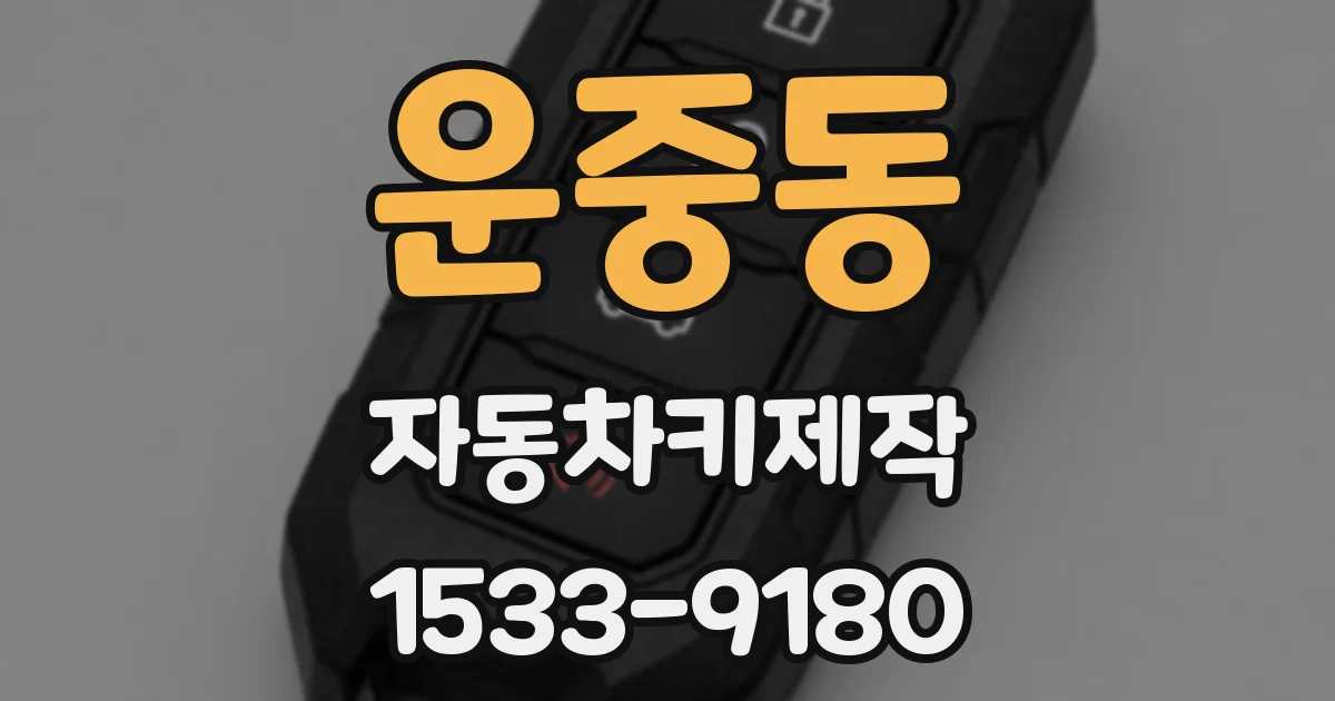 운중동 자동차키제작