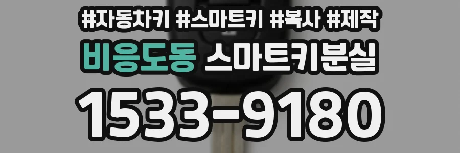 비응도동 스마트키분실
