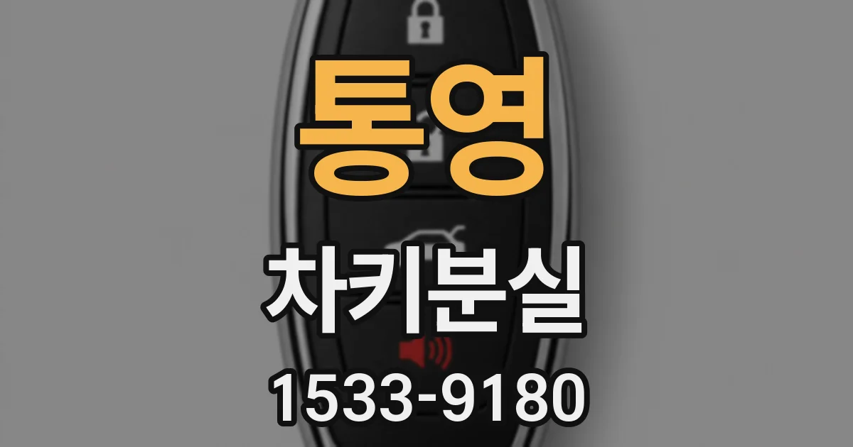 통영 차키분실