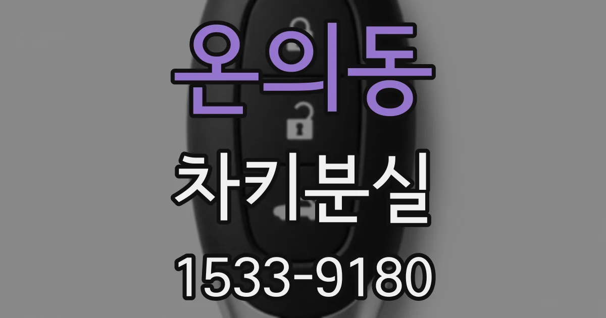 온의동 차키분실
