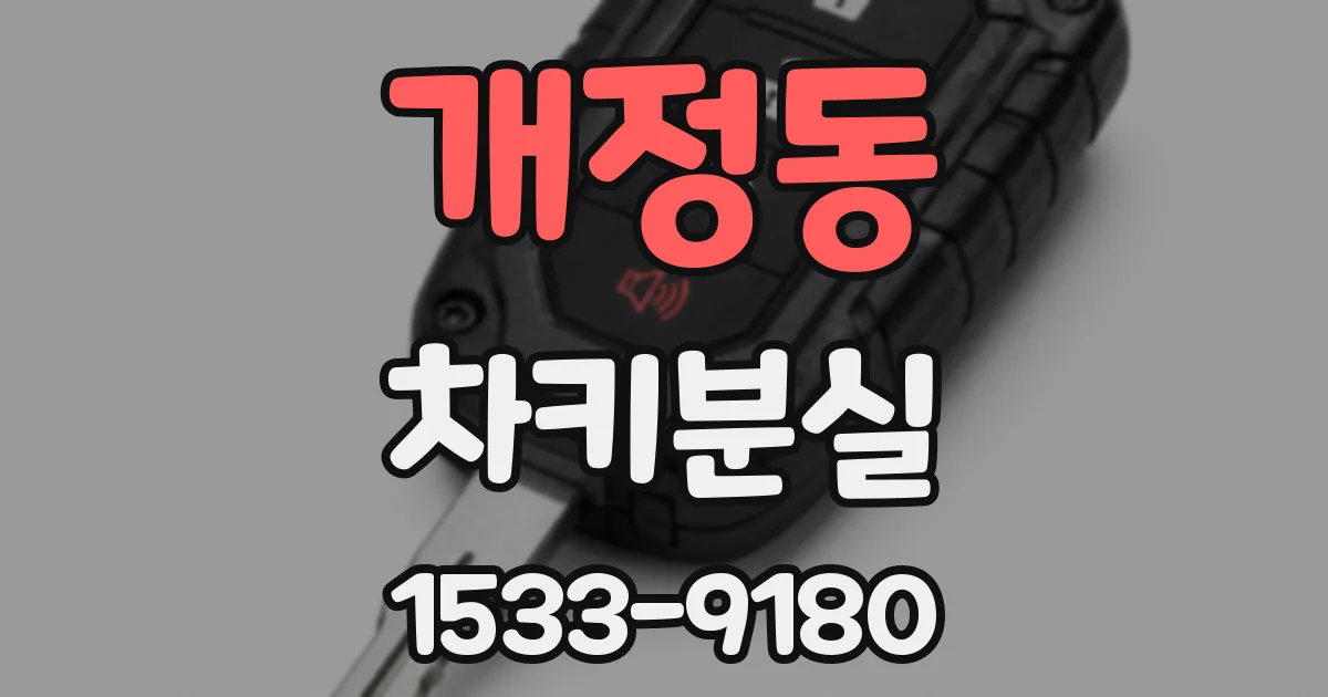 개정동 차키분실