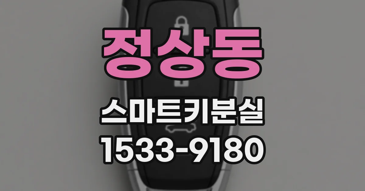 정상동 스마트키분실