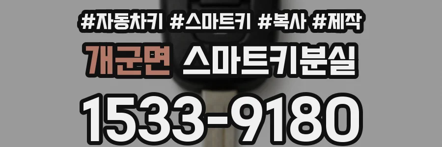 개군면 스마트키분실
