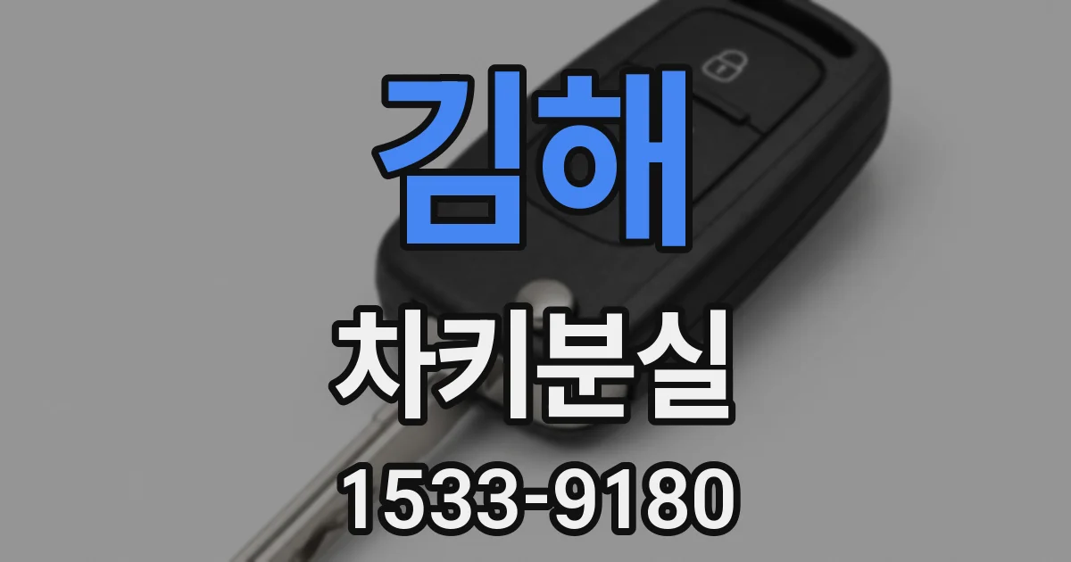 김해 차키분실