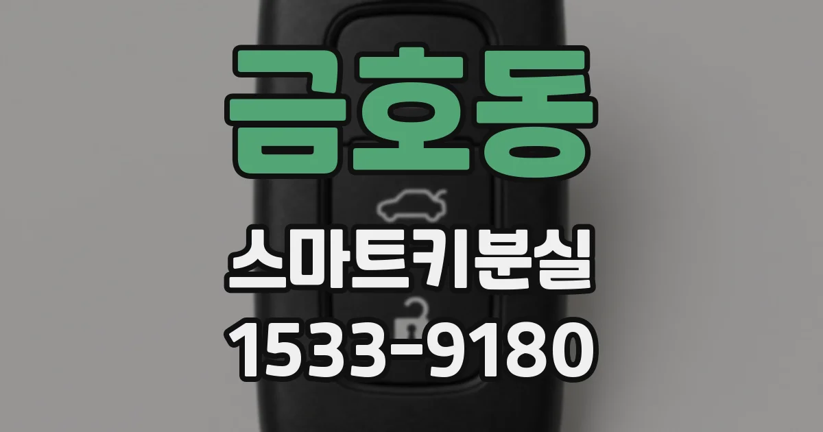 금호동 스마트키분실